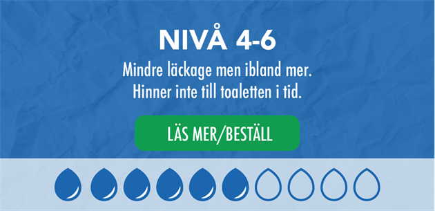 Nivå 4-6